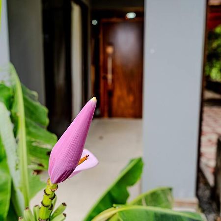 Cloud Forest House Monteverdes Eksteriør bilde