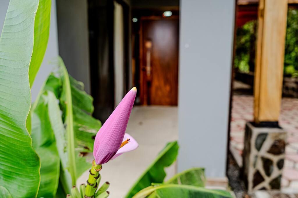 Cloud Forest House Monteverdes Eksteriør bilde